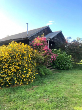 Acogedora Cabaña Puerto Varas